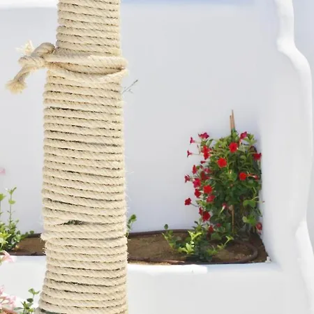 Naxian Album Kaliope With Private Pool, Вилла *